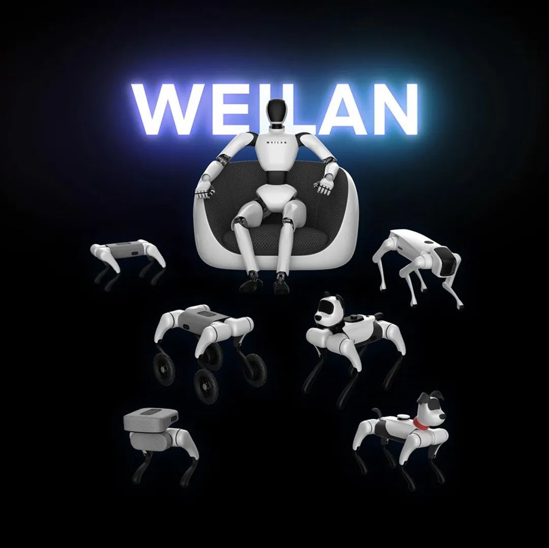 Weilan BabyAlpha A2